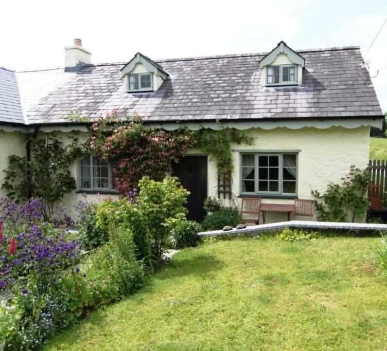 Parc Y Brenin Villa Dryslwyn Kültér fotó